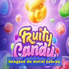 imagens de motel cobras